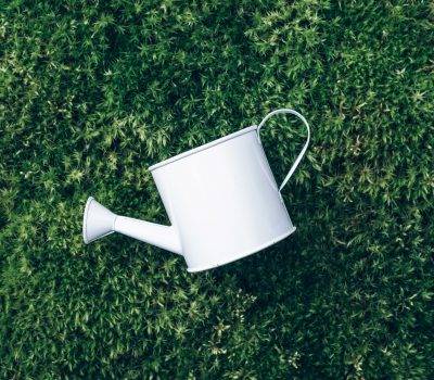 Watering can on grass, moss background. Top view. Spring concept